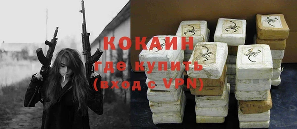 МДПВ Вяземский