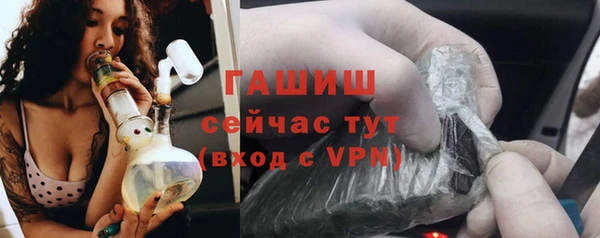 МДПВ Вяземский
