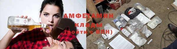 МДПВ Вяземский