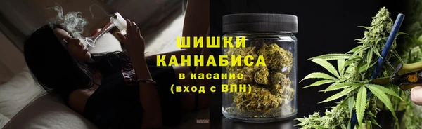 МДПВ Вяземский
