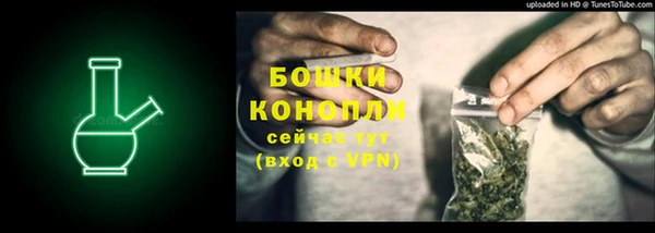 МДПВ Вяземский