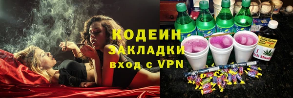 МДПВ Вяземский