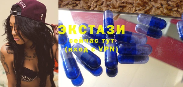 МДПВ Вяземский